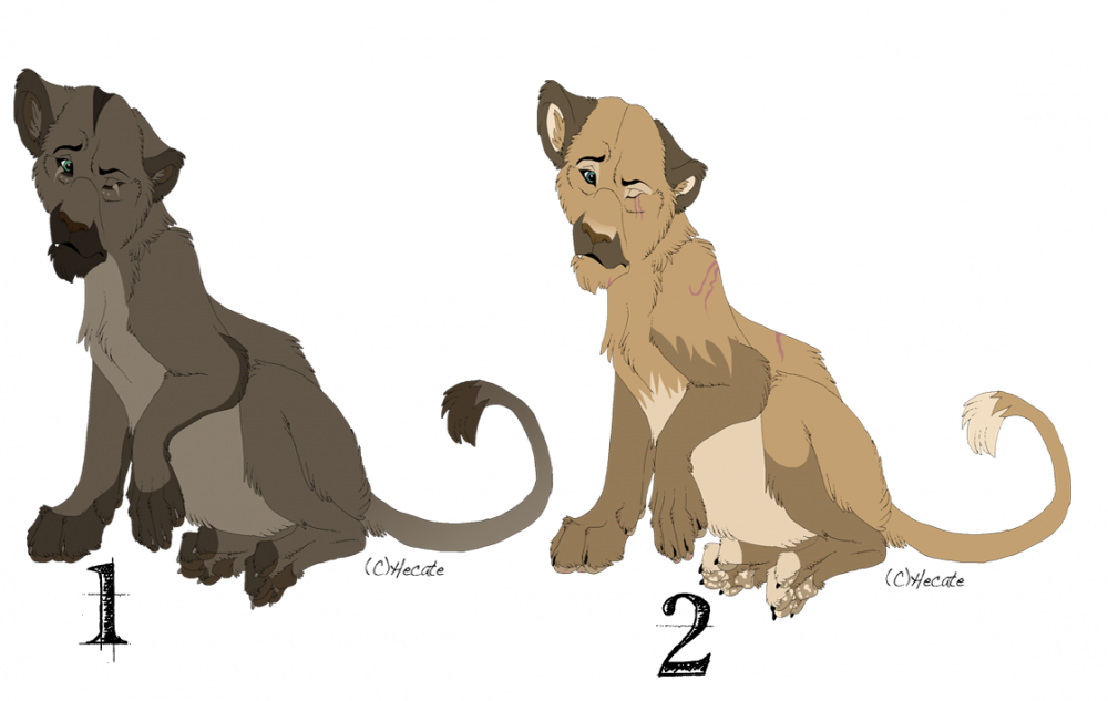 Adoption [ouvert]