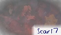 Scar17