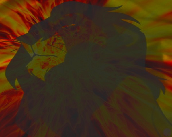 Scar