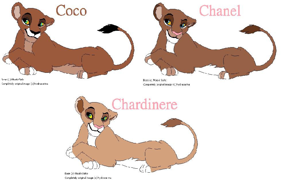 Upcoming Charries- The C Sisters