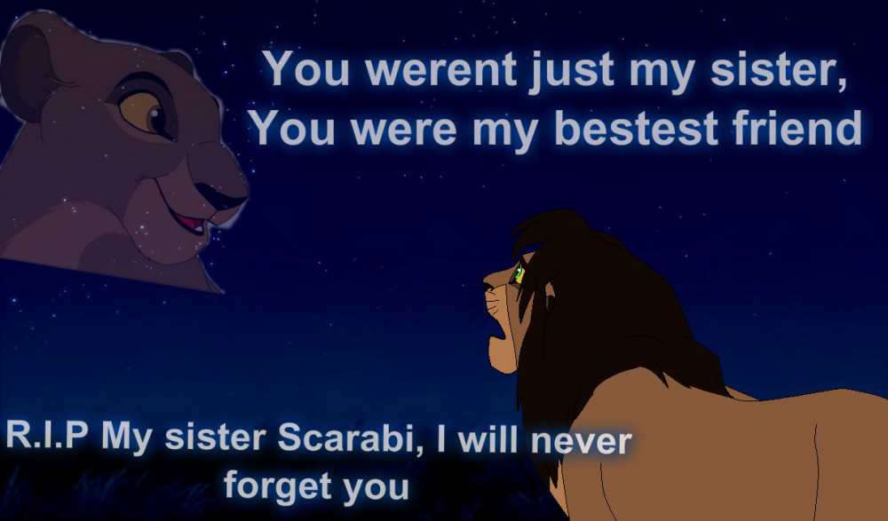 I miss you Sister .....