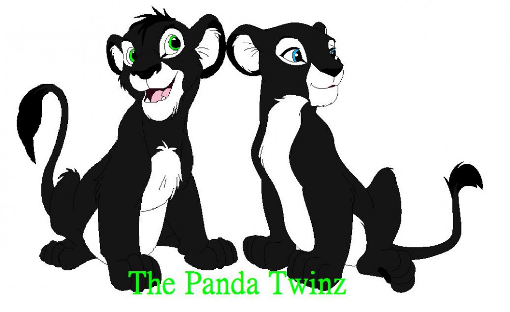 Upcoming Charries- The Panda Twinz