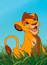 Kopa 