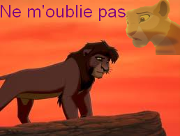 Ne m'oublie pas