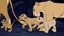 Lili and Iori's family