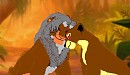 Ray and Furrinn