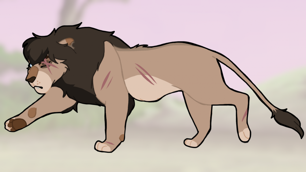 All grown up (Bonko)