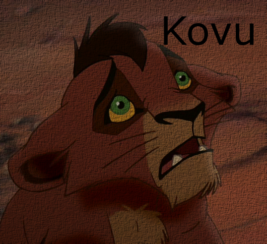 Another Kovu avatar
