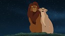 Stargazing