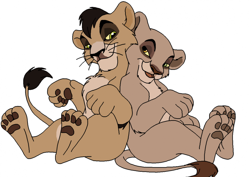 The Twins