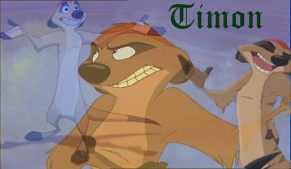 Timon