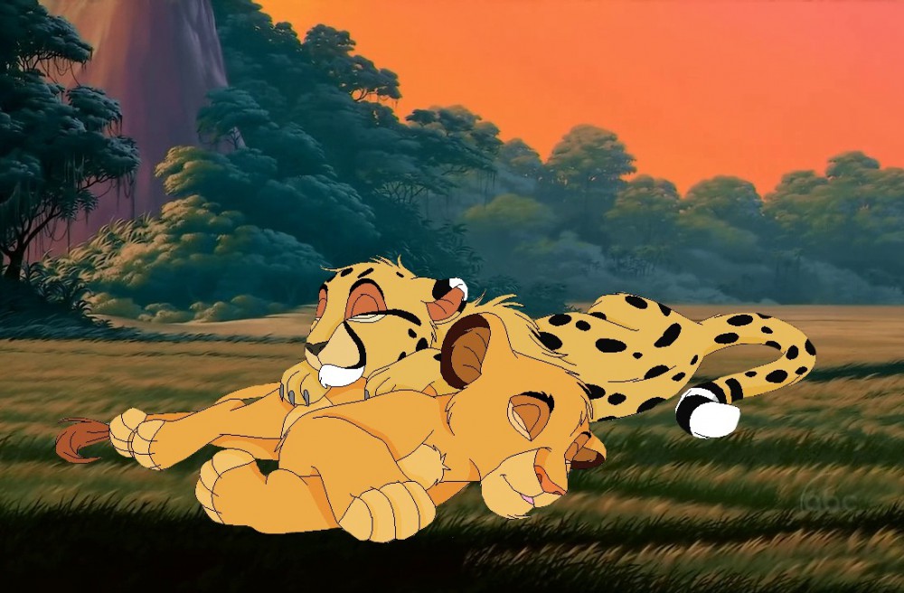 Simba et Swifty