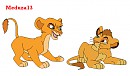 Kopa et Vitani 