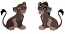 TAMU AND USIKU - HALF SIBS