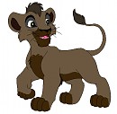 Zanko lionceau