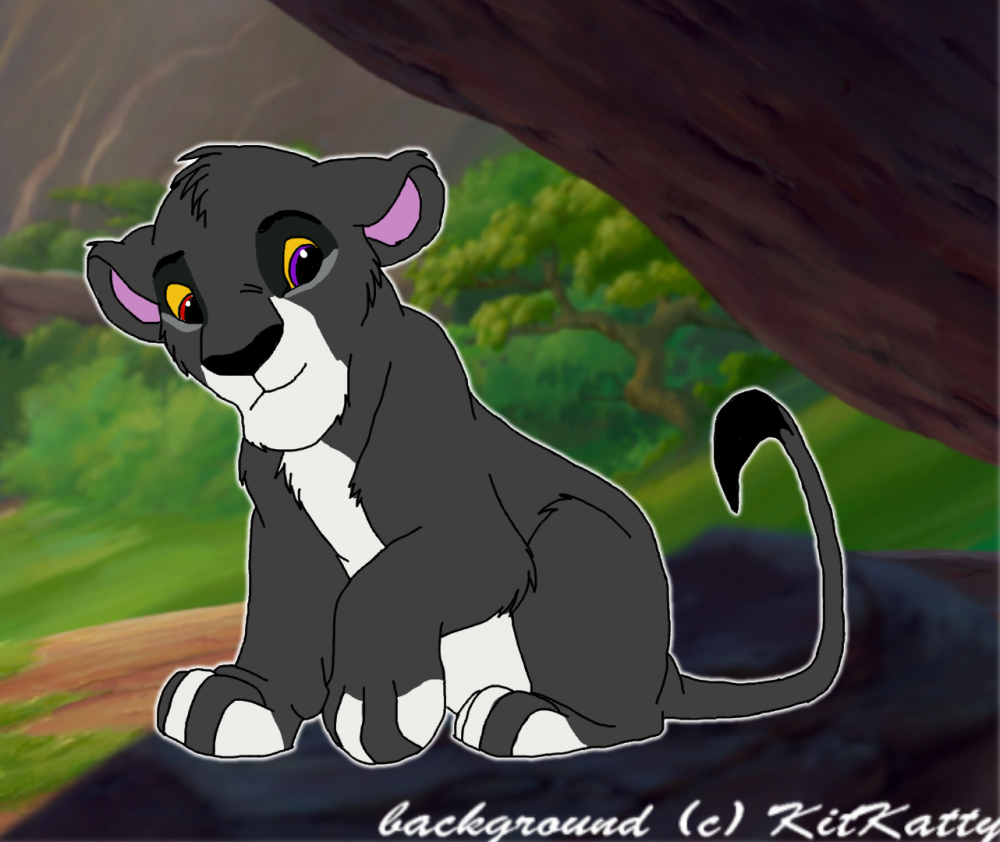 Cadeau pour Tora