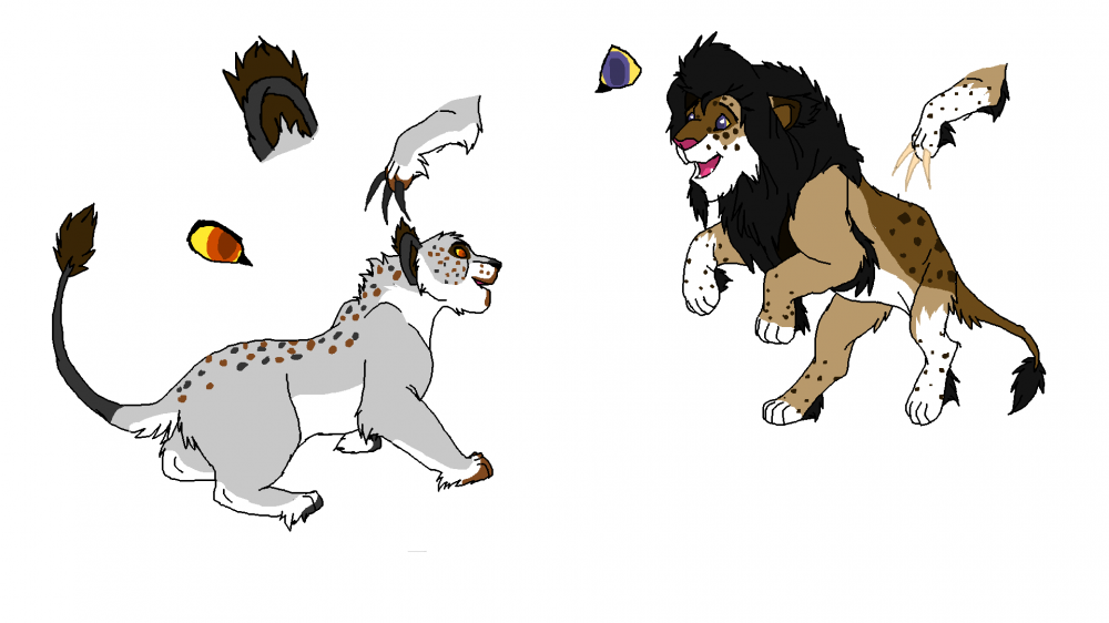 Arabian Lion info page