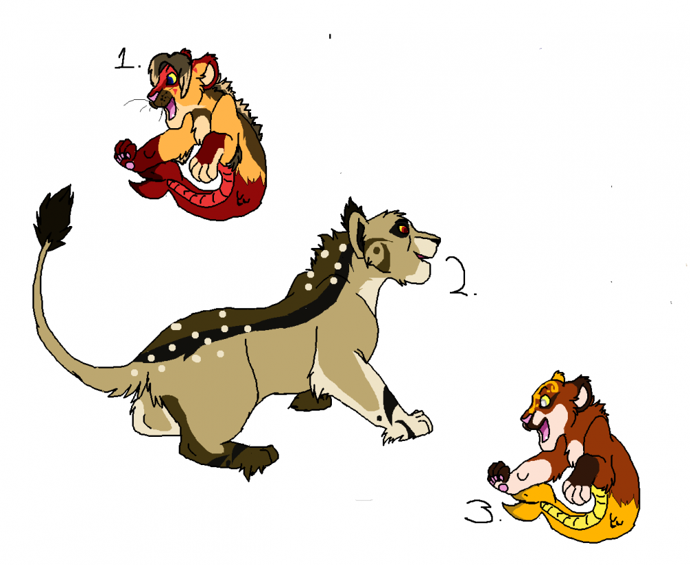 Arabian Lion and Mkondo Lion Adopts