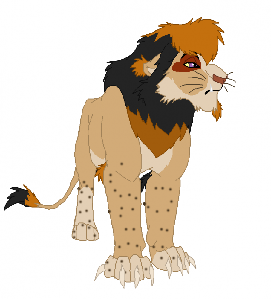 Design Request for NovaCat