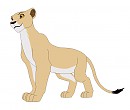 Lioness Design 