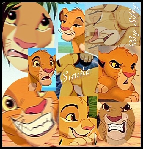 The nine phases of Simba.