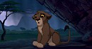 Sad Kigeni