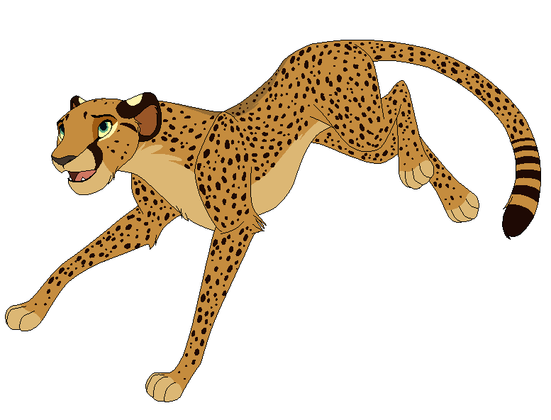 cheetah design for DarkuBani