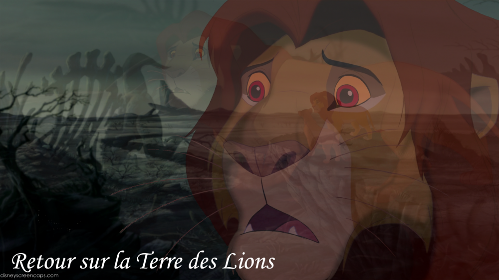 Retour sur la Terre des Lions 