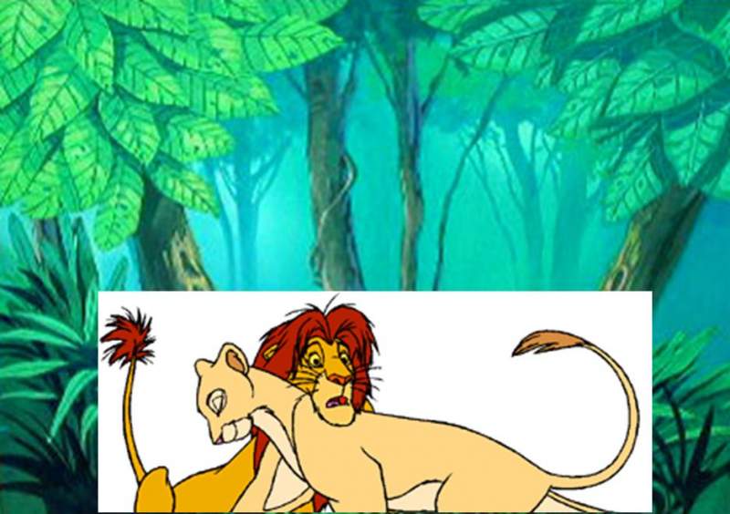 Simba & Nala