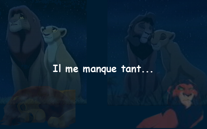 Il me manque tant