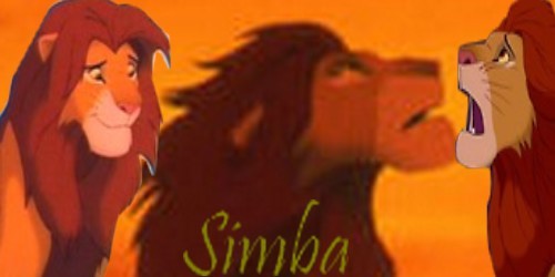 Simba (2)