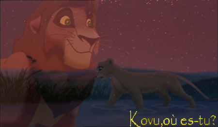 Kovu, où es-tu?