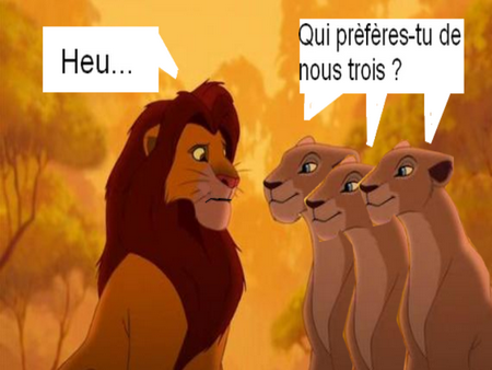 Simba et ses admiratrices...