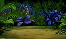 Plants Around