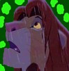 Simba avatar