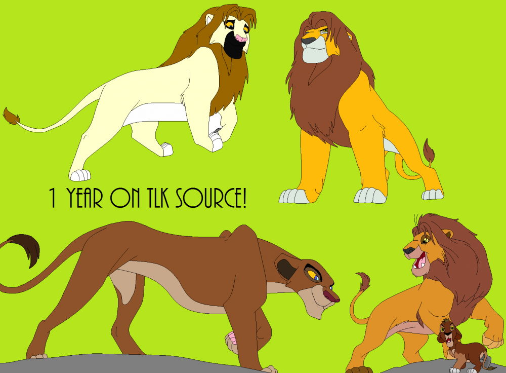 One year on TLK Source!