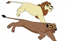Kupa and Taba