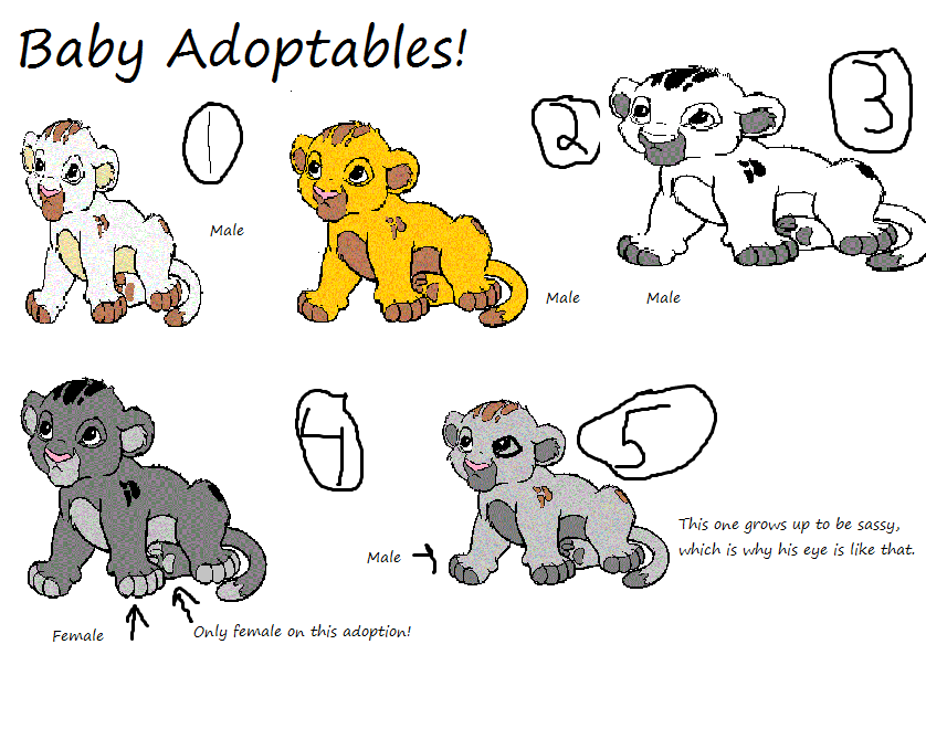 Baby Adoptables!