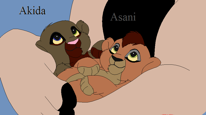 Kumi's New Cubs