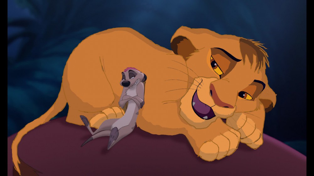 Kopa et Timon a la belle étoile
