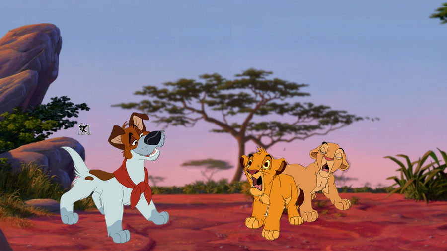 Un chien dans la savane ?!