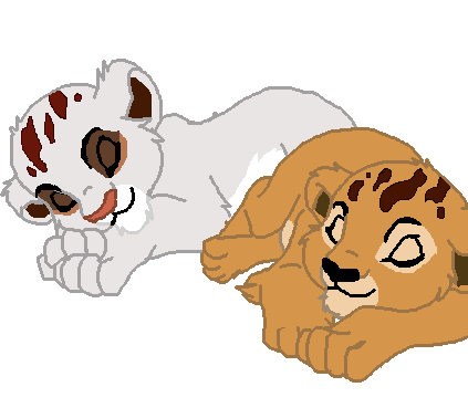 Cubhood Dreams