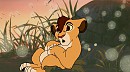 SimbaXKama Fan Cub