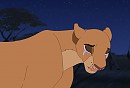 -I Cant Believe It...He's Gone-