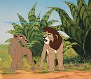A Small Dispute