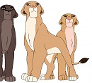 Zira's Most Loyal Followers