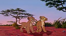 Siblings On A Journey