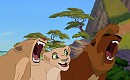 Roaring Lessons