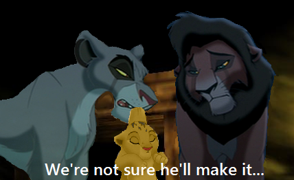 Vitani's Despair