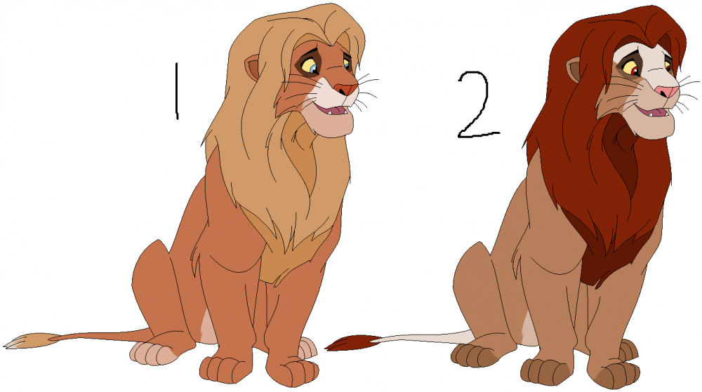 Male Adopt